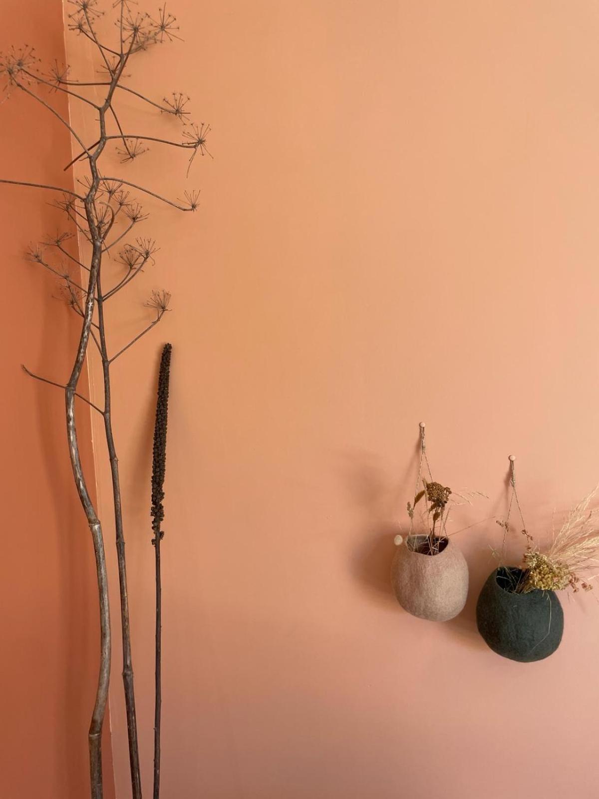 Les Petites Maisons Sotta Zewnętrze zdjęcie